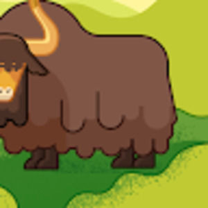 Meet your Posher, Ana